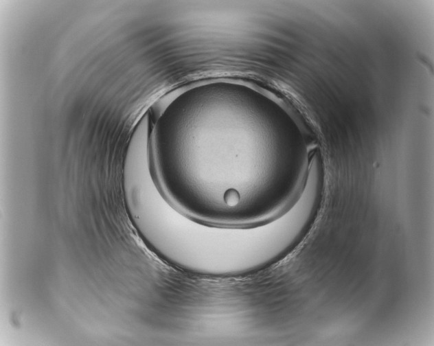 X0000099541185200805301454