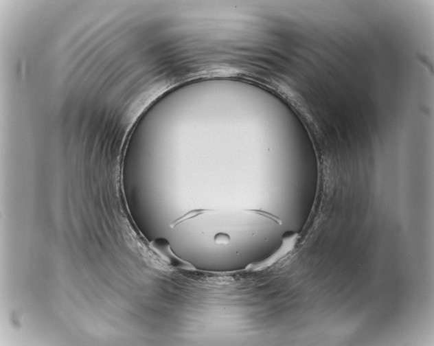 X0000099541186200805301454