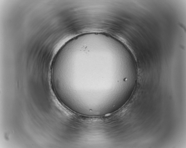 X0000099541187200805301454