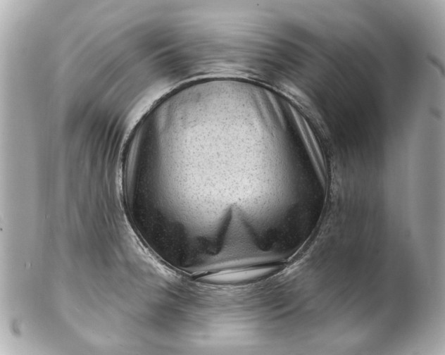 X0000099541188200805301454