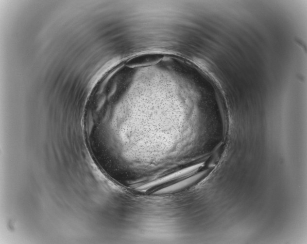 X0000099541189200805301454