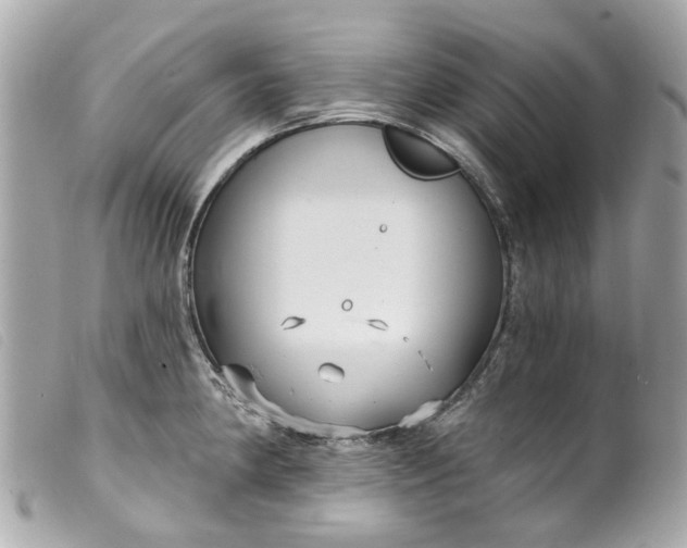 X0000099541190200805301454