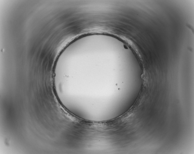 X0000099541191200805301454