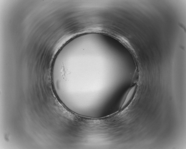 X0000099541192200805301454