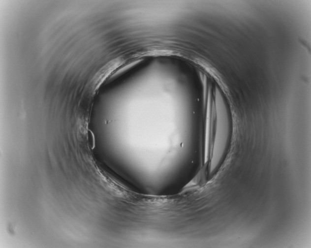 X0000099541193200805301454