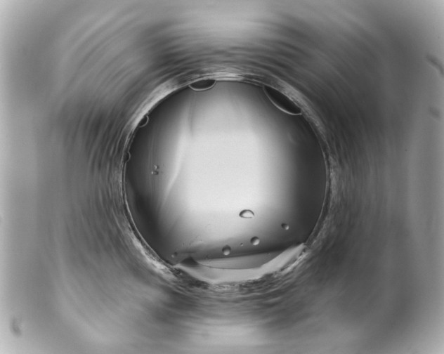 X0000099541194200805301454