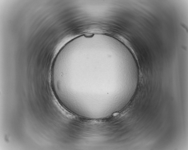 X0000099541195200805301454