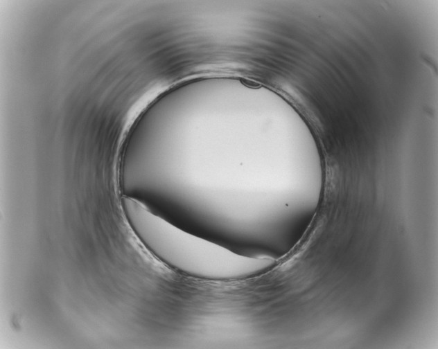 X0000099541196200805301454