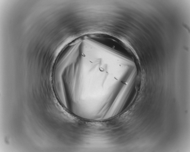 X0000099541197200805301454