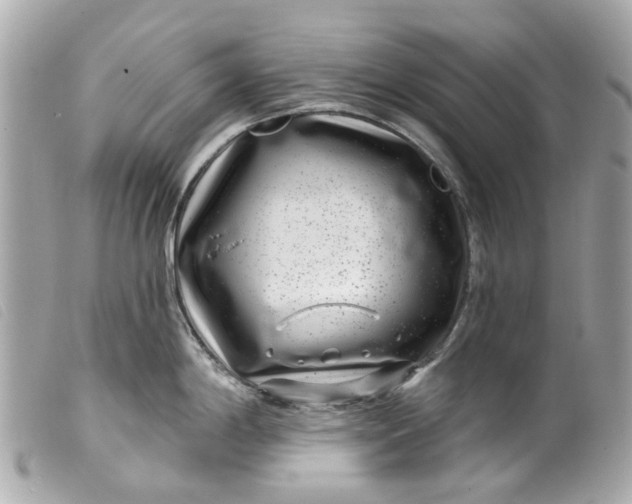 X0000099541198200805301454