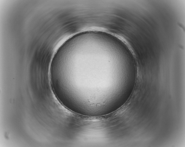 X0000099541199200805301454