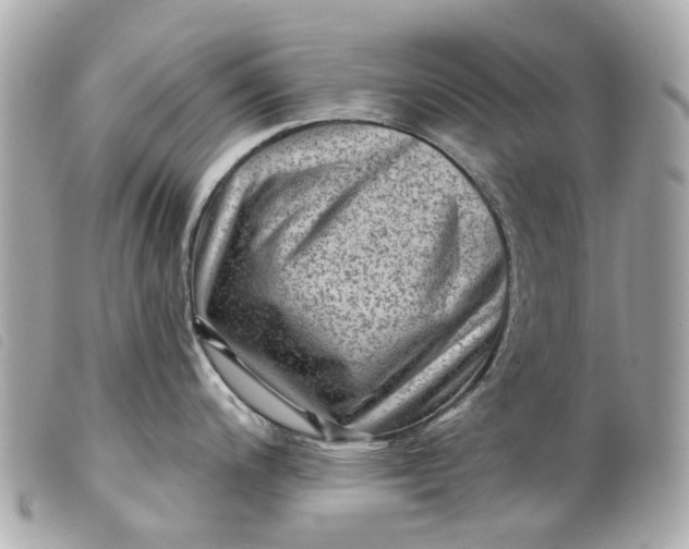 X0000099541200200805301454