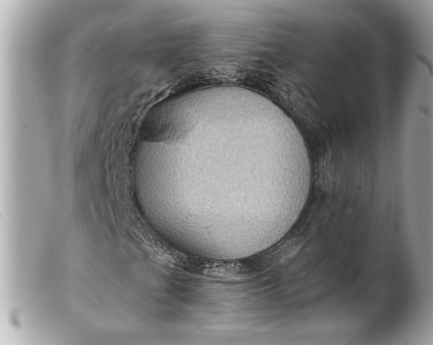 X0000099541201200805301453