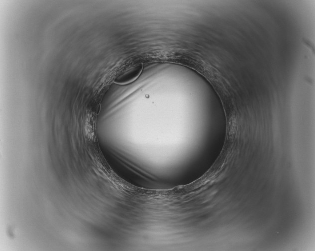 X0000099541202200805301453