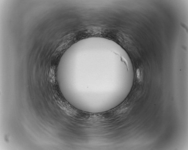 X0000099541203200805301453