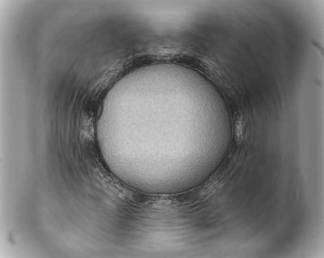 X0000099541204200805301453