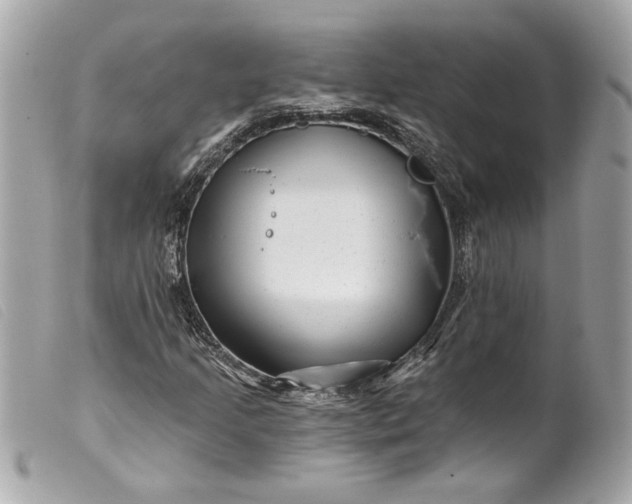 X0000099541205200805301453