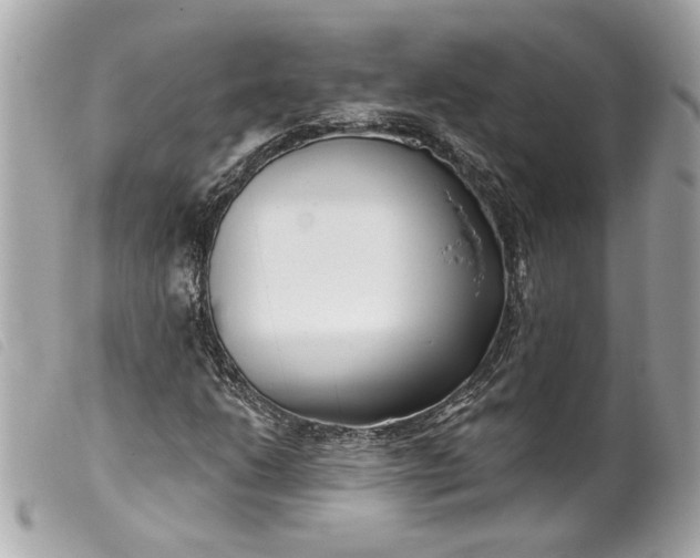 X0000099541206200805301453