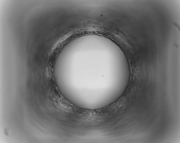 X0000099541207200805301453