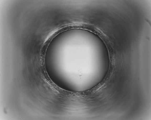 X0000099541208200805301453