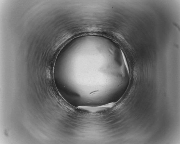 X0000099541209200805301453