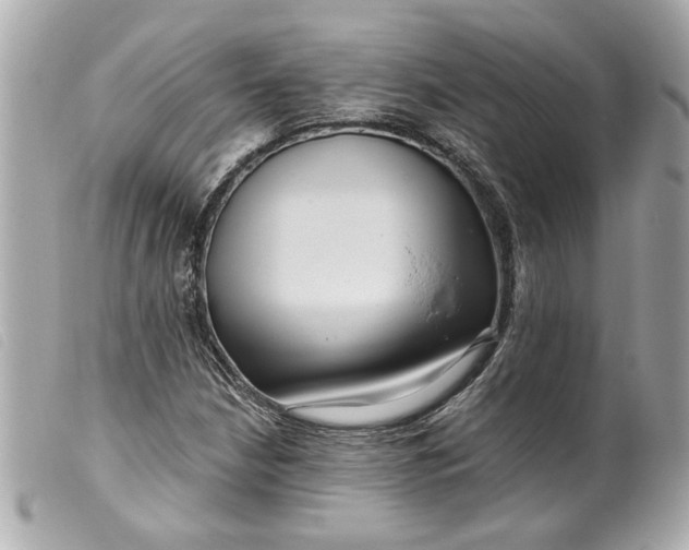 X0000099541210200805301453