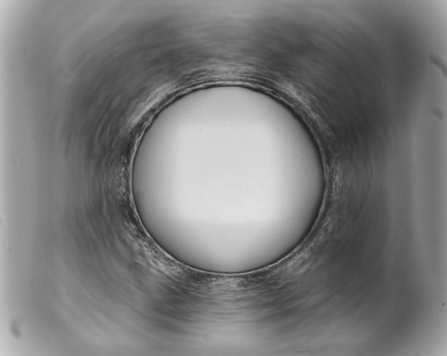 X0000099541211200805301453