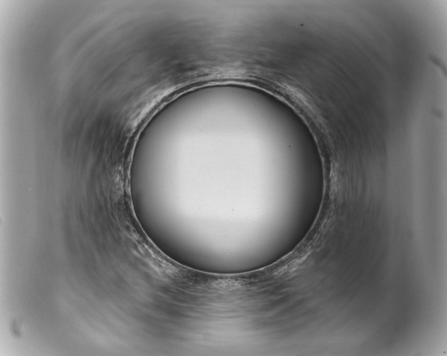 X0000099541212200805301454