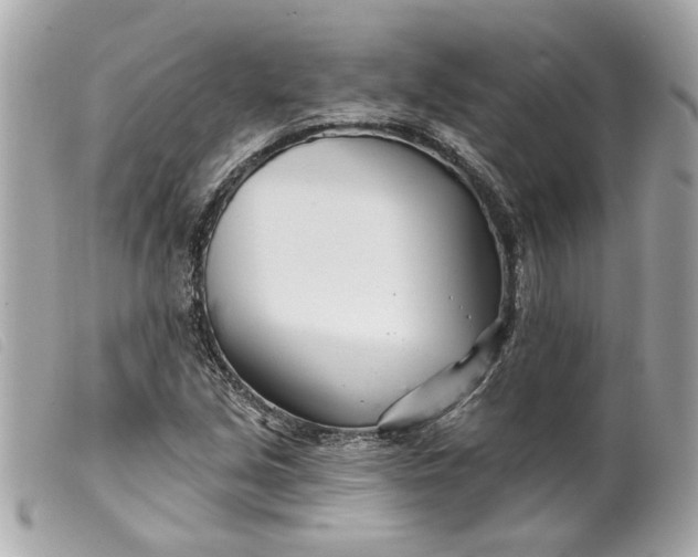 X0000099541213200805301454