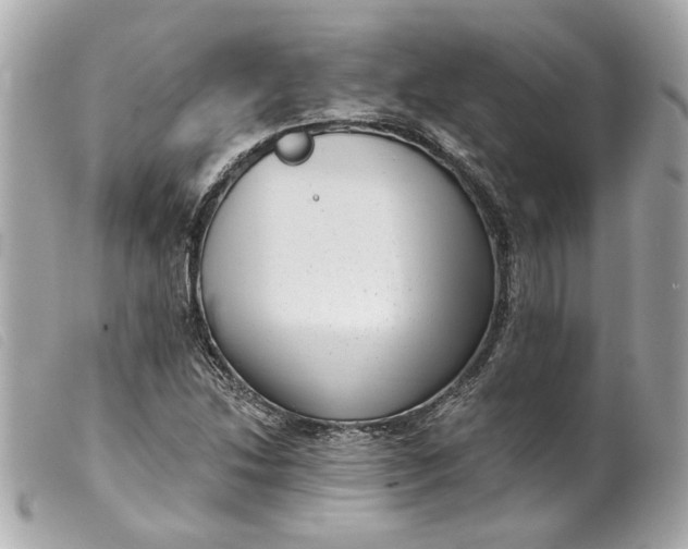 X0000099541214200805301454