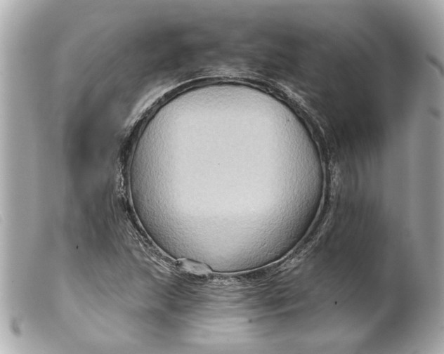 X0000099541215200805301454