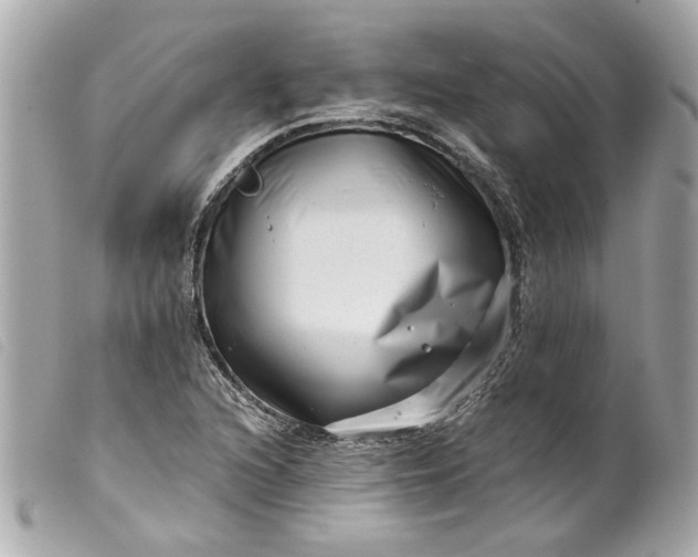 X0000099541216200805301454