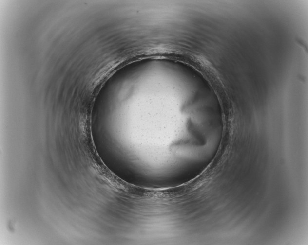 X0000099541217200805301454