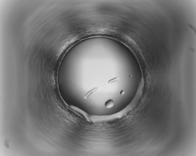 X0000099541218200805301454