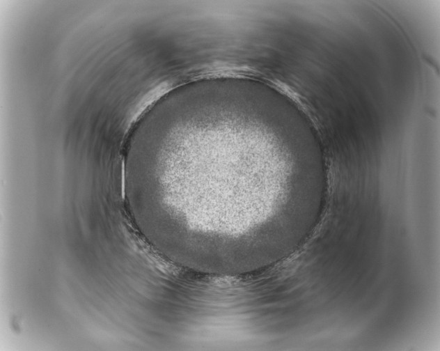 X0000099541219200805301454