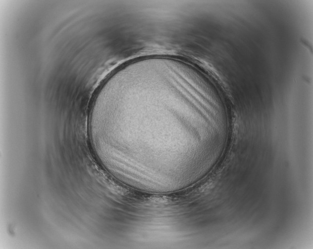 X0000099541220200805301454