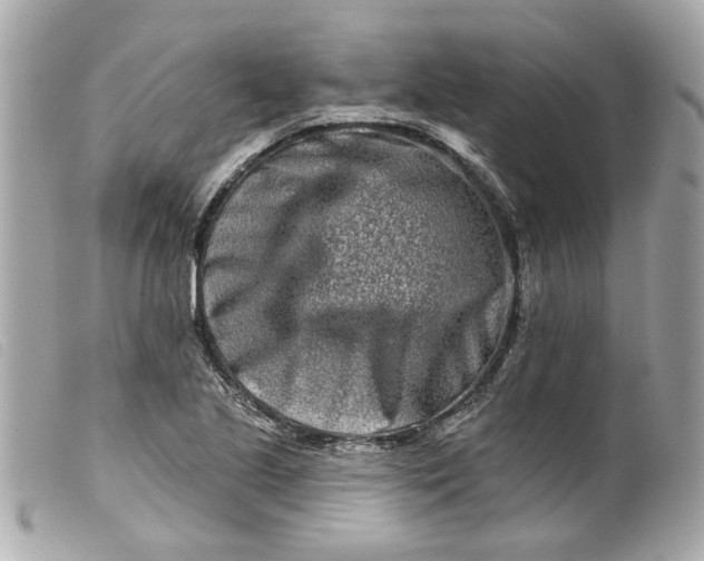 X0000099541221200805301454