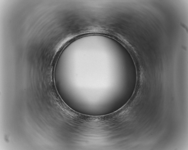 X0000099541222200805301454