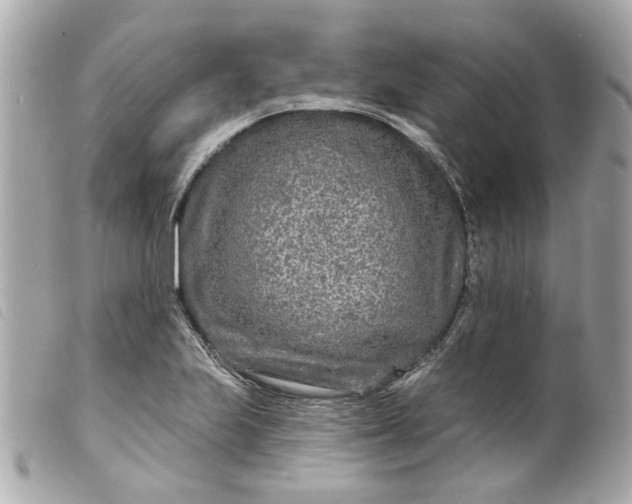 X0000099541223200805301454