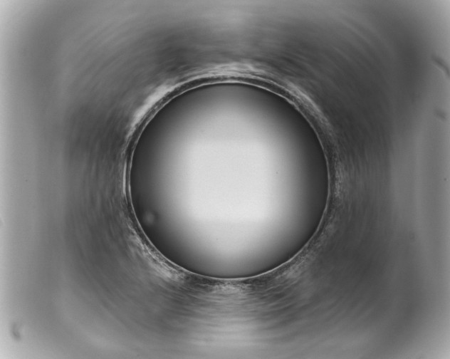 X0000099541224200805301454