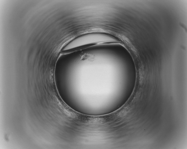 X0000099541225200805301454