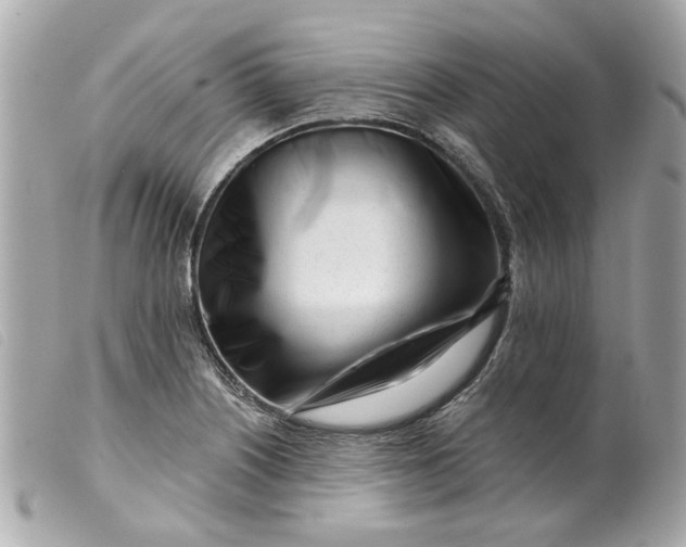 X0000099541226200805301454