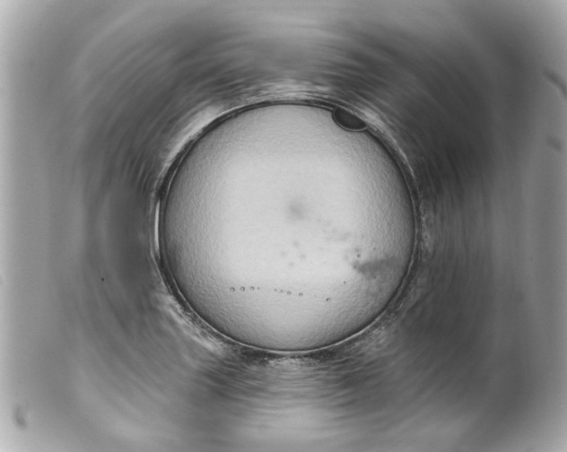 X0000099541227200805301454