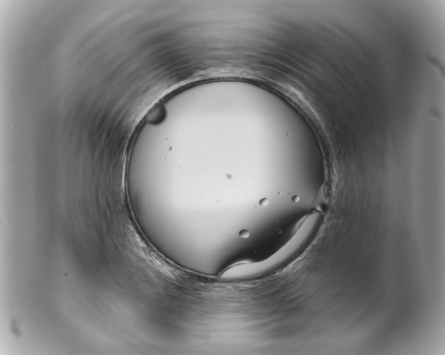 X0000099541228200805301454