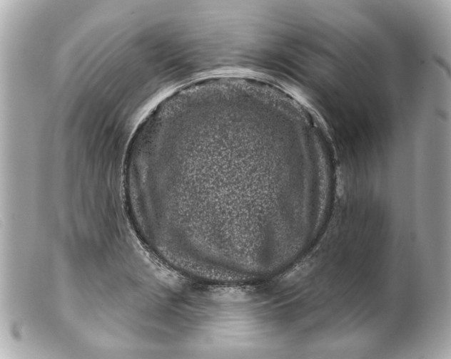 X0000099541229200805301454