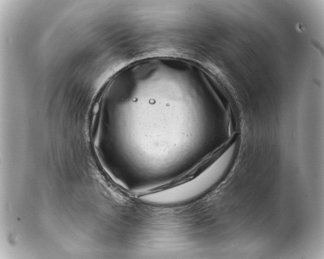 X0000099541230200805301454