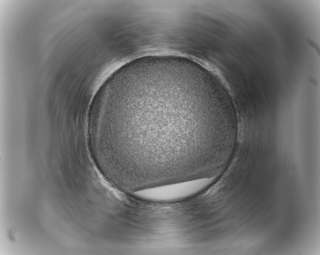 X0000099541231200805301454