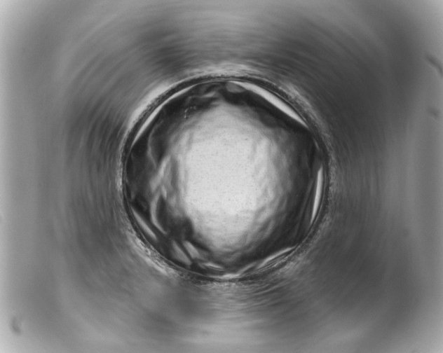 X0000099541232200805301454