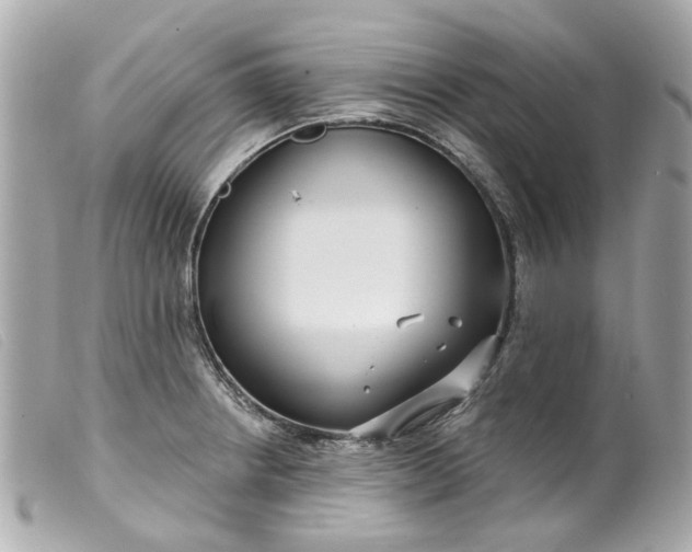 X0000099541234200805301454