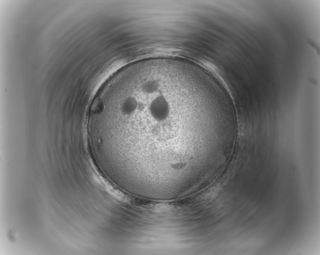 X0000099541235200805301454